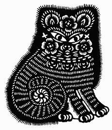 weird cat