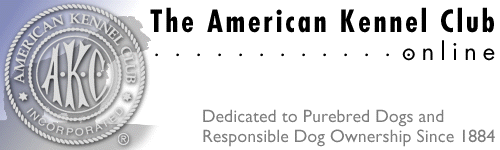 Go To The Official AKC Web Page And Look Up Information On The Standards Of Staffordshire Terriers.