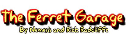The Ferret Garage - Nemesis and Rick