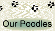 Our Poodles