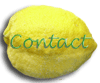 Contact Button
