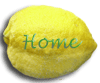 Home Button