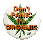dont_pan.gif (9887 bytes)