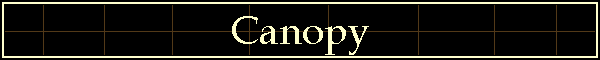Canopy