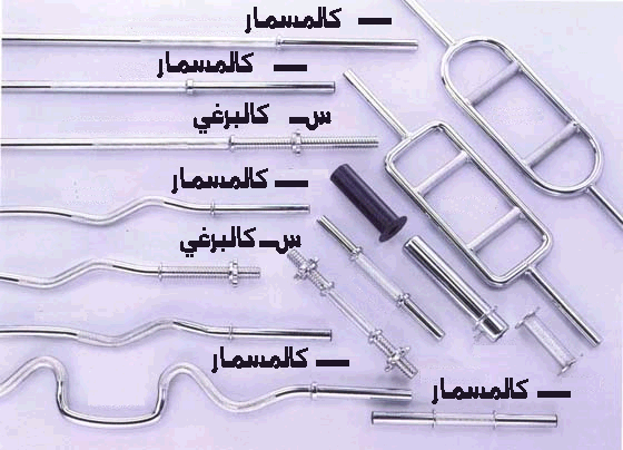 دامبلز متغير الوزن