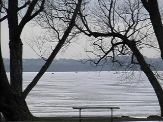 A view out to the lake facing west at Cooks Bay