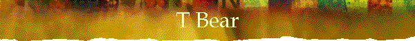 T Bear