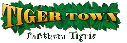 Tiger Town