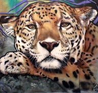 jaguar image