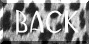back to cats