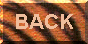 back to cats