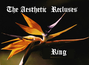 aesthetic recluses ring