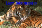Tiger Award