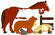 cvmlogo5.gif (3865 bytes)