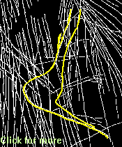 female figure