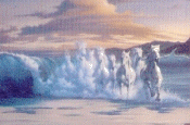 gif file