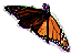 small picture of monarch butterfly