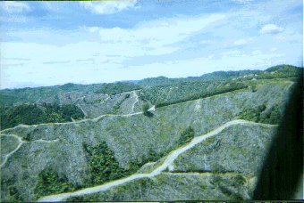 Barren hills after roller crushing native forest