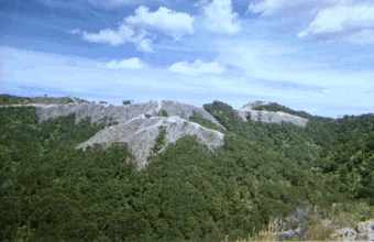 The contrast between bush clad and roller-crushed hills