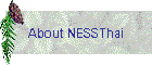 About NESSThai