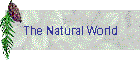 The Natural World