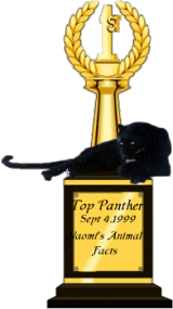 Web Brawls Top Panther Award