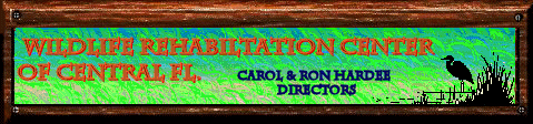 A Banner