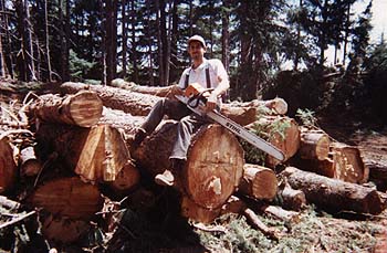 Ponderosa Pine from the Rogue River Canyon. 1997