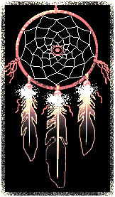 Please don't disrespect the awesome talent of Sam Silverhawk by stealing this Dreamcatcher. Visit his site and respect his conditions as I did