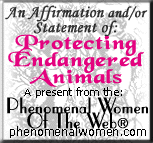 Phenomenal Women of the Web