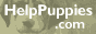 Pound puppies make the best pets :) SAVE A PUPPY!