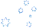 The Southern Cross