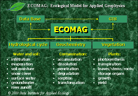Structure of ECOMAG