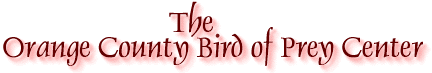 Welcome to The Orange County Bird of Prey Center