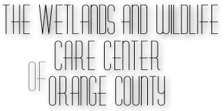 WWCC Logo, Part 2