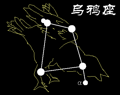 corvus.gif (7487 bytes)