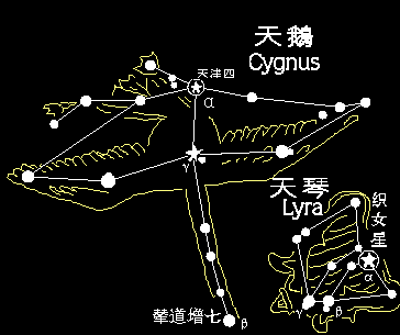 cygnus.gif (9347 bytes)