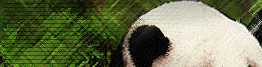 titlemidleft