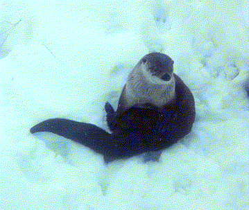 Benjamin sitting in the snow