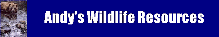 Andy's Links to Ecology and Management Information and Jobs