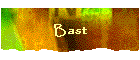 Bast