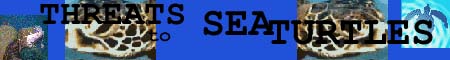 Threats to Sea Turtles