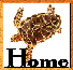 Return Home