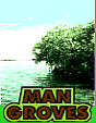 Mangroves