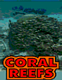 Coral Reefs