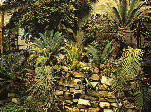 serre tropical.La roche