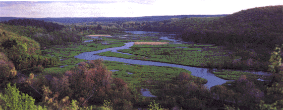A scenic view of the river