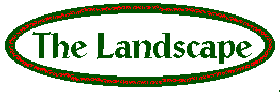 [The Landscape]