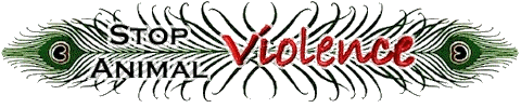 Logo (27812 bytes)