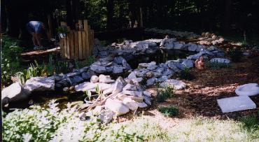 pond04.JPG (22392 bytes)